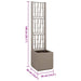 Cutie pentru flori Maro deschis 36 x 36 x 140 cm Plastic - WALTI WALTI