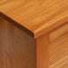 Cabinet TV natural 100 x 40,5 x 46 cm Lemn masiv de mahon - WALTI WALTI