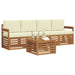 Set de canapele de exterior cu pernă 5 pcs Natural și Crem - WALTI WALTI
