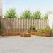 Set de canapele de exterior 8 pcs natural - WALTI WALTI