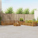 Set de canapele de exterior 9 pcs natural - WALTI WALTI