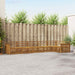 Set de canapele de exterior 6 pcs natural Lemn Solid de Acacia - WALTI WALTI