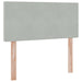Pat cu storage cu saltea Gri deschis 100 x 200 cm Catifea - WALTI WALTI