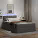 Pat cu lumini cu bandă LED cu headboard Gri 120 x 200 cm PVC - WALTI WALTI
