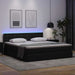Pat cu lumini cu bandă LED cu headboard Negru 160 x 200 cm PVC - WALTI WALTI