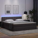 Pat cu saltea și LED cu led Gri 160 x 200 cm Piele artificială - WALTI WALTI