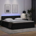 Pat cu saltea și LED Negru 180 x 200 cm Piele artificială - WALTI WALTI