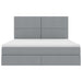 Pat cu storage Gri deschis 160 x 200 cm Piele artificială - WALTI WALTI