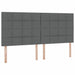Pat cu storage Gri închis 200 x 200 cm Piele artificială - WALTI WALTI