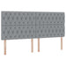 Pat cu storage Gri deschis 200 x 200 cm Piele artificială - WALTI WALTI