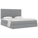 Pat cu storage Gri deschis 160 x 200 cm Piele artificială - WALTI WALTI