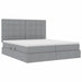 Pat cu storage Gri deschis 180 x 200 cm Piele artificială - WALTI WALTI