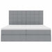 Pat cu storage Gri deschis 180 x 200 cm Piele artificială - WALTI WALTI