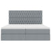 Pat cu storage Gri deschis 180 x 200 cm Piele artificială - WALTI WALTI