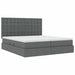 Pat cu storage Gri închis 180 x 200 cm Piele artificială - WALTI WALTI