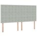 Pat cu storage cu saltea Gri deschis 180 x 200 cm Catifea - WALTI WALTI