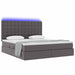Pat cu saltea și LED cu led Gri 160 x 200 cm Piele artificială - WALTI WALTI