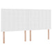 Pat cu lumini cu bandă LED Alb pur 200 x 200 cm PVC - WALTI WALTI