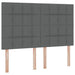 Pat cu lumini cu bandă LED Gri închis 140 x 200 cm țesătură - WALTI WALTI
