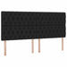 Pat cu lumini cu bandă LED Negru 200 x 200 cm țesătură - WALTI WALTI