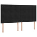 Pat cu lumini cu bandă LED Negru 200 x 200 cm Catifea - WALTI WALTI