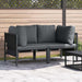 Seturi de mobilier de exterior cu pernă cu pernă 2 pcs Antracit - WALTI WALTI
