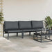 Seturi de mobilier de exterior cu pernă cu pernă 3 pcs Antracit - WALTI WALTI
