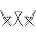 Set Bistro de Grădină 3 pcs Antracit Oțel - WALTI WALTI
