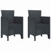 Scaun pentru Grădină 2 pcs Antracit Dimensiune: 53 x 49 x 85 cm - WALTI WALTI