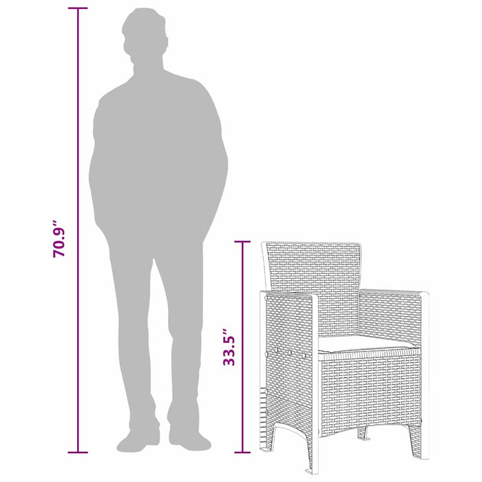 Scaun pentru Grădină 2 pcs Antracit Dimensiune: 53 x 49 x 85 cm - WALTI WALTI