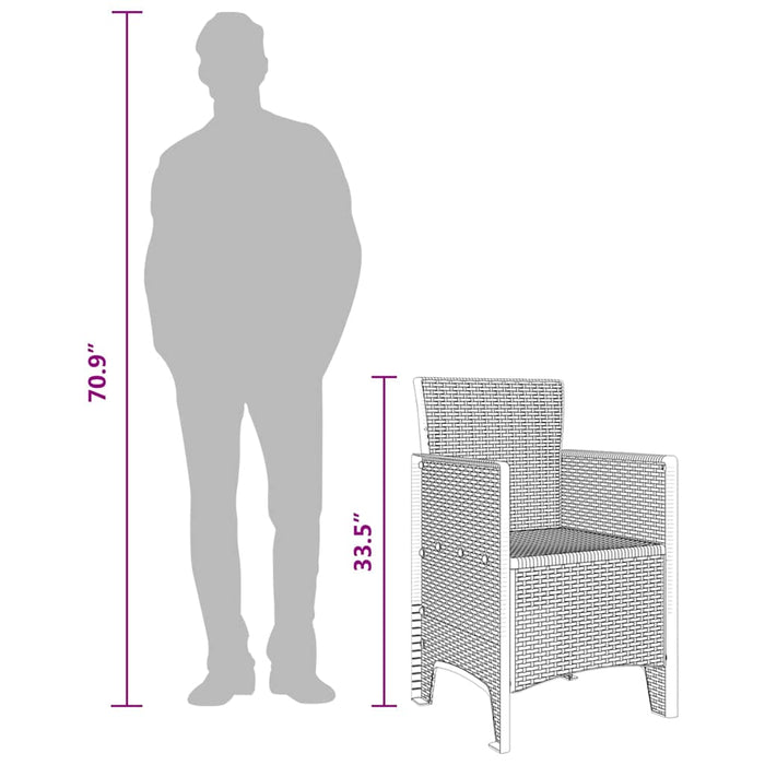 Scaun pentru Grădină 2 pcs Maro Dimensiune: 53 x 49 x 85 cm PP - WALTI WALTI