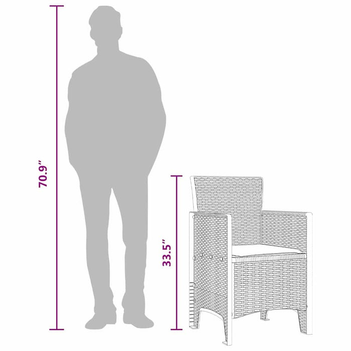 Scaun pentru Grădină 2 pcs Maro Dimensiune: 53 x 49 x 85 cm PP - WALTI WALTI