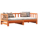 Pat de zi cu trundle Maro ceruit 90 x 200 cm Lemn masiv de pin - WALTI WALTI