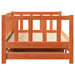 Pat de zi cu trundle Maro ceruit 90 x 200 cm Lemn masiv de pin - WALTI WALTI