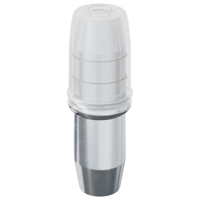Ușă de raft 2 pcs Argintiu 7 x 16 mm Fier - WALTI WALTI