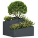 Vază pentru Grădină Antracit 60 x 60 x 50 cm - WALTI WALTI