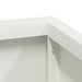 Vază pentru Grădină Alb 80 x 80 x 50 cm Oțel laminat la rece - WALTI WALTI