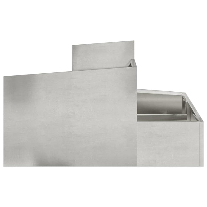 Vază pentru Grădină Argintiu 80 x 80 x 50 cm Oţel inoxidabil WALTI