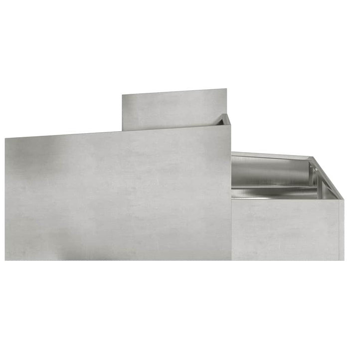 Vază pentru Grădină Argintiu 100 x 100 x 50 cm Oţel inoxidabil - WALTI WALTI