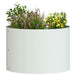 Inele pentru vaze 5 pcs Alb 30 x 30 x 20 cm - WALTI WALTI