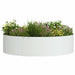 Inele pentru vaze 5 pcs Alb 80 x 80 x 20 cm - WALTI WALTI