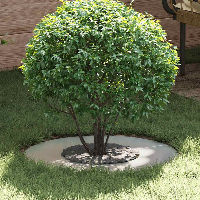 potrivit pentru inel de copac plat Argintiu Ø30 / 60 cm - WALTI WALTI