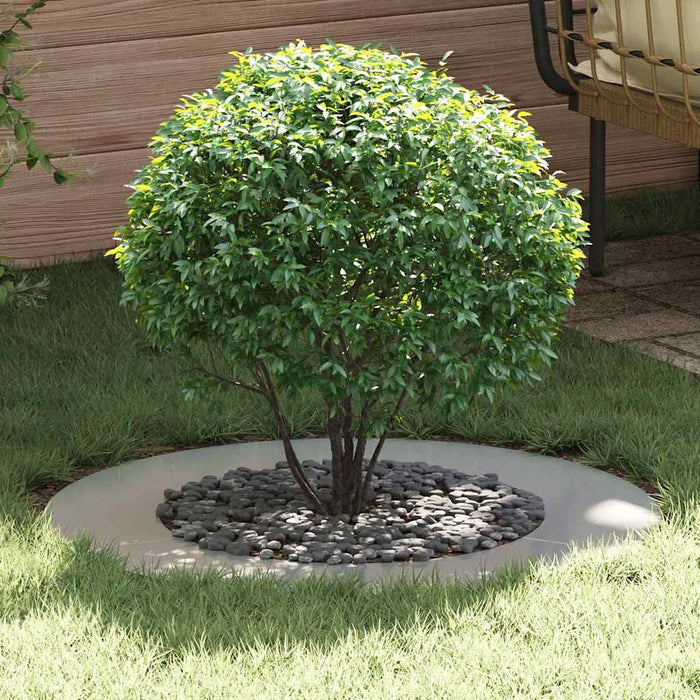 potrivit pentru inel de copac plat Argintiu Ø50 / 80 cm - WALTI WALTI