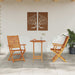 Set Bistro Pliabil 3 pcs Maro Lemn Solid de Acacia - WALTI WALTI