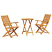 Set Bistro Pliabil 3 pcs Maro Lemn Solid de Acacia - WALTI WALTI