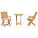 Set Bistro Pliabil 3 pcs Maro Lemn Solid de Acacia - WALTI WALTI