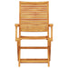 Set Bistro Pliabil 3 pcs Maro Lemn Solid de Acacia - WALTI WALTI