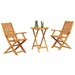 Set Bistro Pliabil 3 pcs Maro Lemn Solid de Acacia - WALTI WALTI