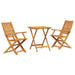 Set Bistro Pliabil 3 pcs Maro Lemn Solid de Acacia - WALTI WALTI