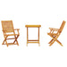 Set Bistro Pliabil 3 pcs Maro Lemn Solid de Acacia - WALTI WALTI